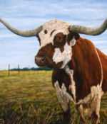 Loyd Voges oil painting Longhorn American Plains Artists