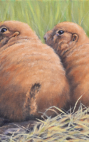 Carol Ann Welch oil painting two prairie dogs American Plains Artists