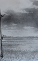 Jones, Lori Forgotten Dreams 12 x 25.5 Graphite Charcoal $1700